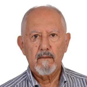 Picture printed on page 119 of the 2024 report