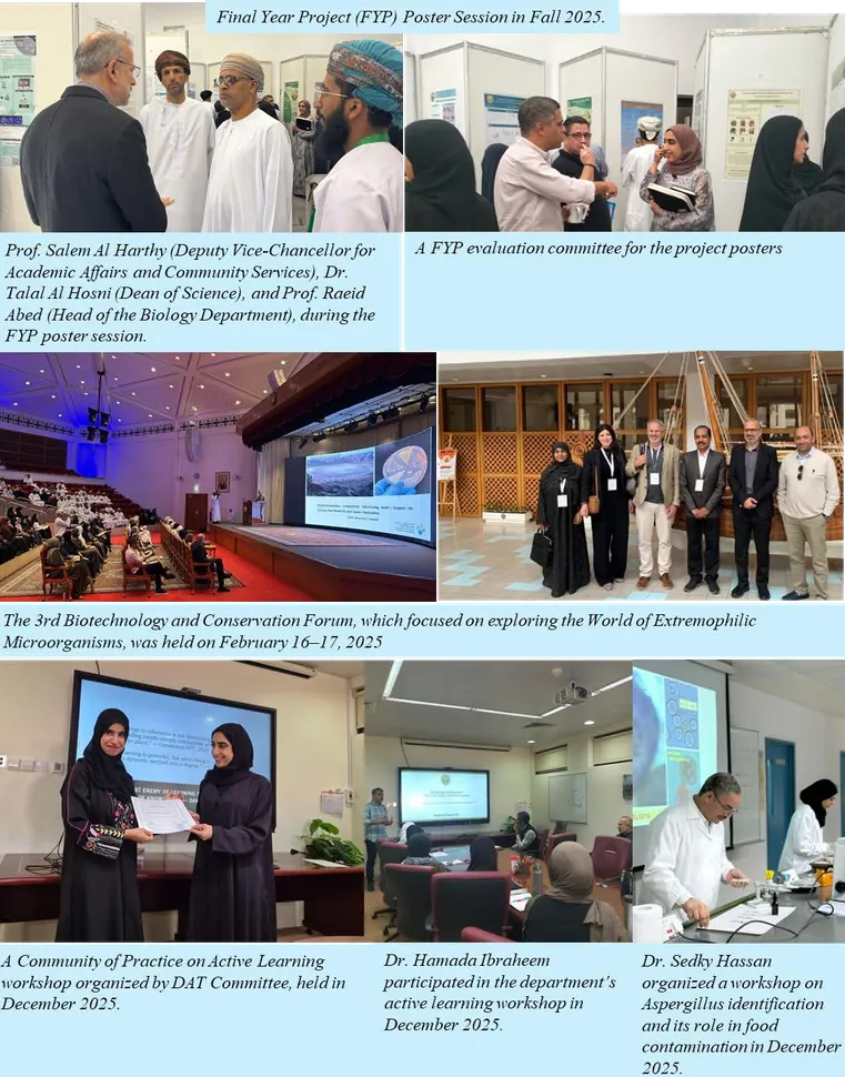 Picture printed on PDF page 32 of the 2025 report