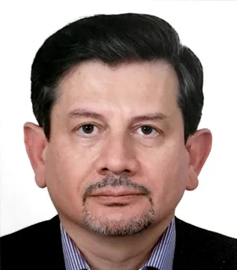 Picture printed on page 119 of the 2024 report