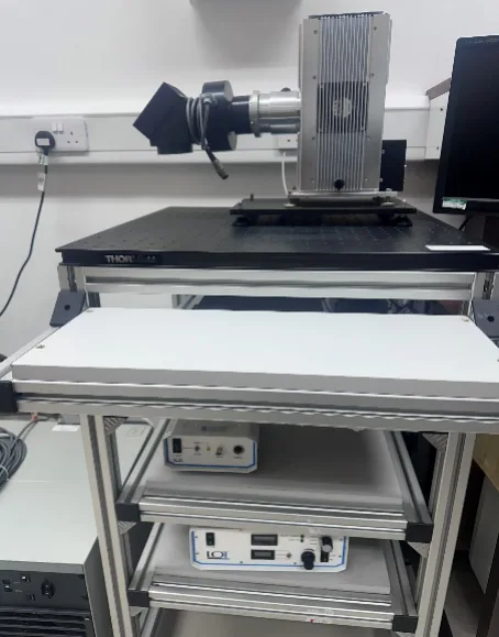 Solar simulator